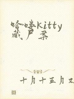 哈喽kitty藏尸案