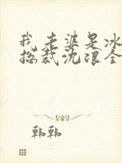 我老婆是冰山女总裁沈浪全集