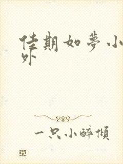 佳期如梦小说番外