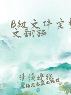B级文件完整中文翻译