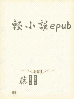 轻小说epub