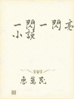 一闪一闪亮星星小说