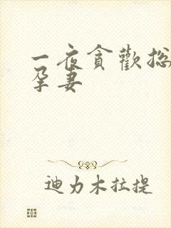 一夜贪欢总裁幸孕妻