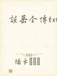 说岳全传txt