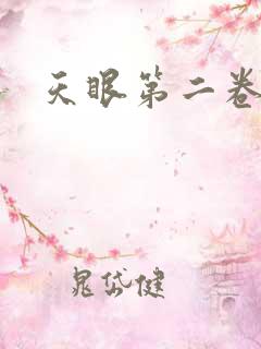 天眼第二卷