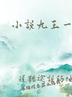 小说九王一后