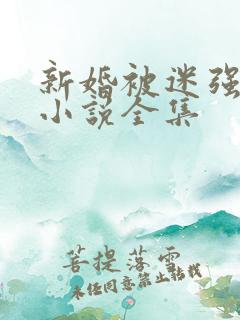 新婚被迷强系列小说全集