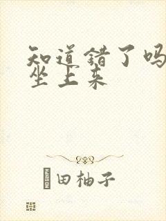 知道错了吗自己坐上来