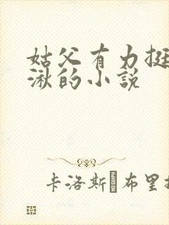 姑父有力挺送徐湫的小说