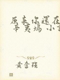 原来你还在这里 辛夷坞 小说