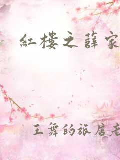 红楼之薛家有子