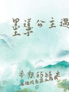 黑道公主遇冷酷王子