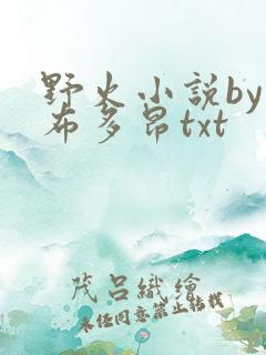 野火小说by夏布多昂txt