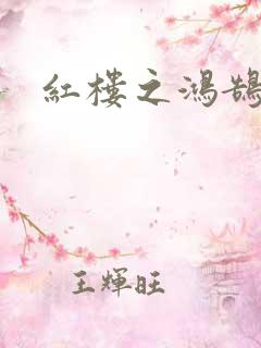 红楼之鸿鹄