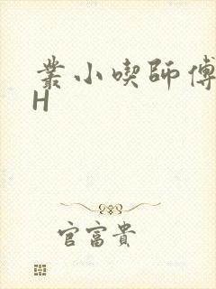 丛小吃师傅的HH