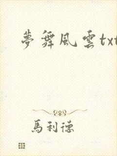 梦舞风云txt