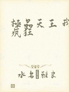 极品天王 我本疯狂