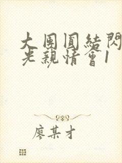 大团圆结闪闪发光亲情会1