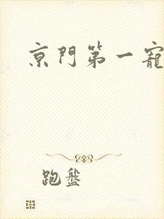 京门第一宠