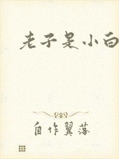 老子是小白脸