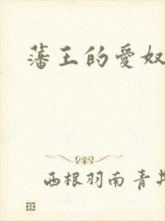 藩王的爱奴