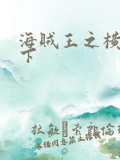 海贼王之横行天下