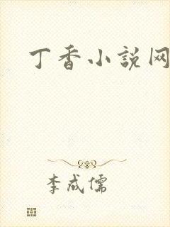 丁香小说网