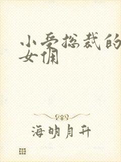 小受总裁的野蛮女佣