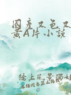 国产又色又爽又黄A片小说