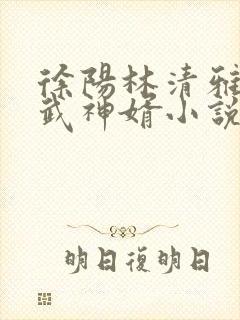 徐阳林清雅绝世武神婿小说
