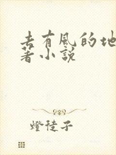 去有风的地方原著小说