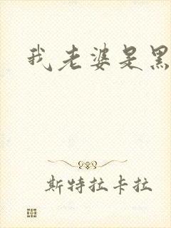 我老婆是黑社会