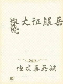 粗大征服岳女双飞