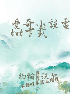 爱奇小说电子书txt下载