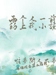 两个人一前一后的上我小说