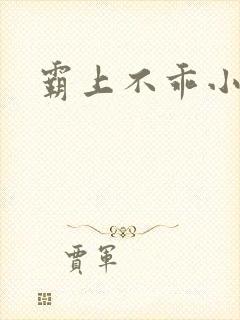 霸上不乖小逃妻