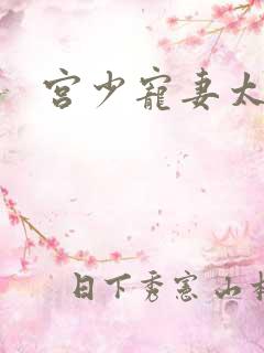 宫少宠妻太凶猛