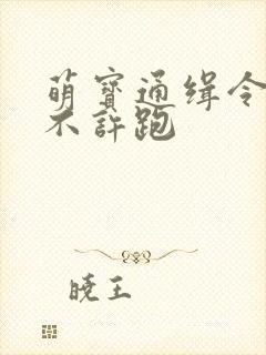 萌宝通缉令妈味不许跑