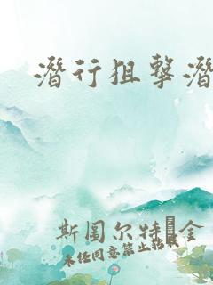 潜行狙击潜罪犯