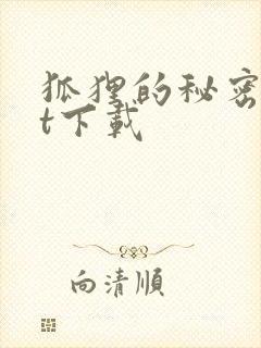 狐狸的秘密txt下载