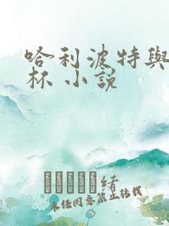 哈利波特与火焰杯 小说