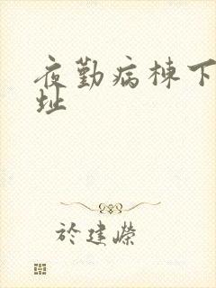 夜勤病栋下载地址