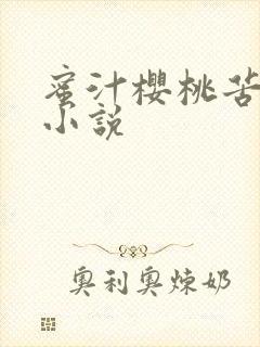 蜜汁樱桃苦咖啡小说