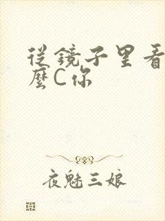 从镜子里看我怎么C你