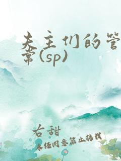 夫主们的管教日常(sp)