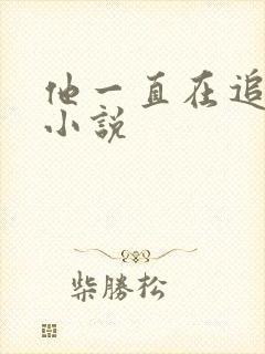 他一直在追初恋小说