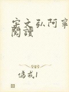 宇文弘阿宁全文阅读