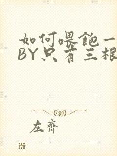 如何喂饱一只猫BY只有三根头发