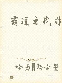 霸道之我非英雄