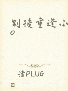 别后重逢小说po